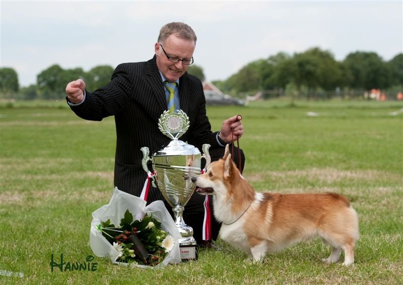 BEST IN SHOW!! Ch. What Dreams Are Made Of "Gurthrie" is Best in Show geworden op de internationale tentoonstelling van Tilburg op 10 juni 2012. Het ras werd gekeurd door Dhr. J.J. van den Berg die Gurthrie verkoos als Beste van het Ras en vervolgens tevens koos als Beste in de Rasgroep. Dhr. A.R.R.
Doedijns verkoos Gurthrie als BEST IN SHOW!!